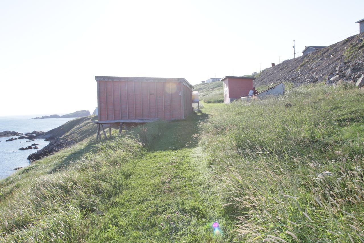Grates Cove Studios: B&B In Historic Grates Cove Exterior photo