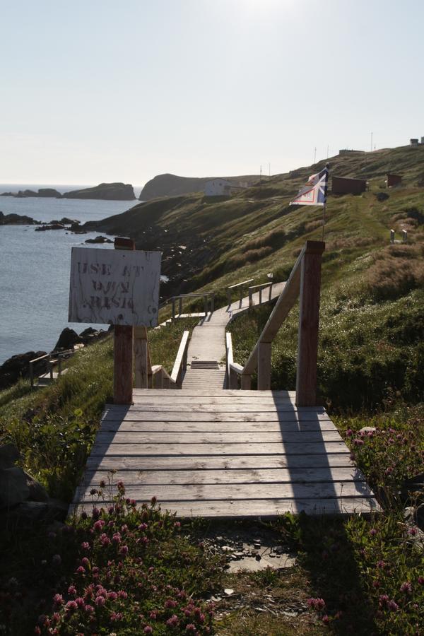 Grates Cove Studios: B&B In Historic Grates Cove Exterior photo